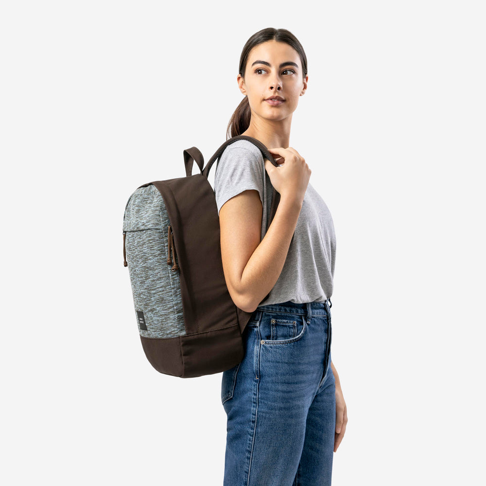 Brown Backpack-all